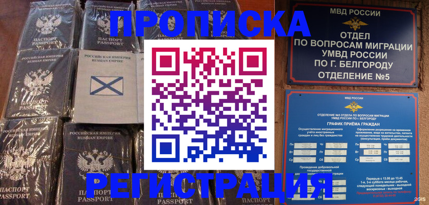 прописка гарантия в Курганинске
